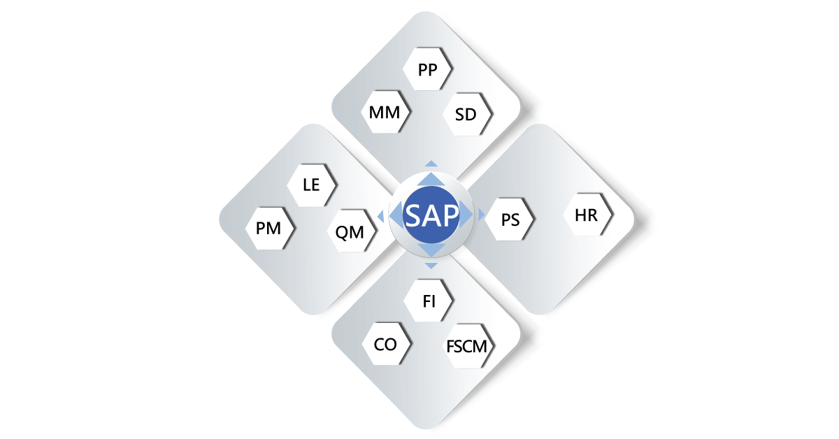 SAP Modules