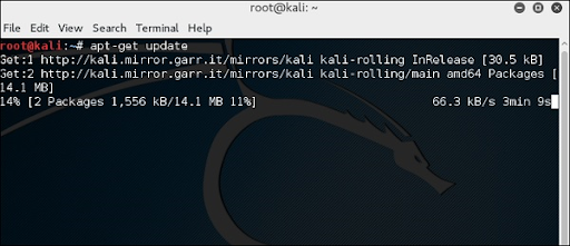 Update the kali software